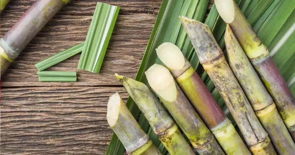 Đường Mía Lỏng Aumis